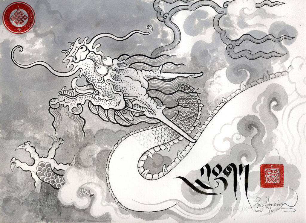 Dragon study