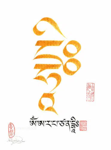 Manjushri Amber dhih