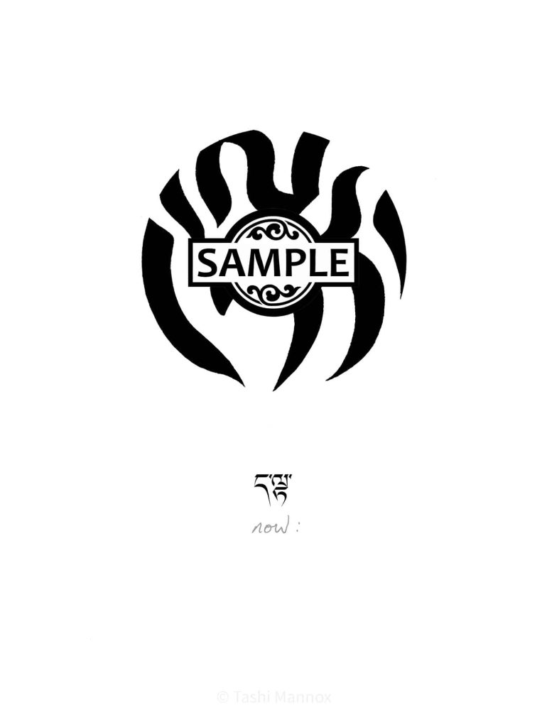 Now - Drutsa roundel design