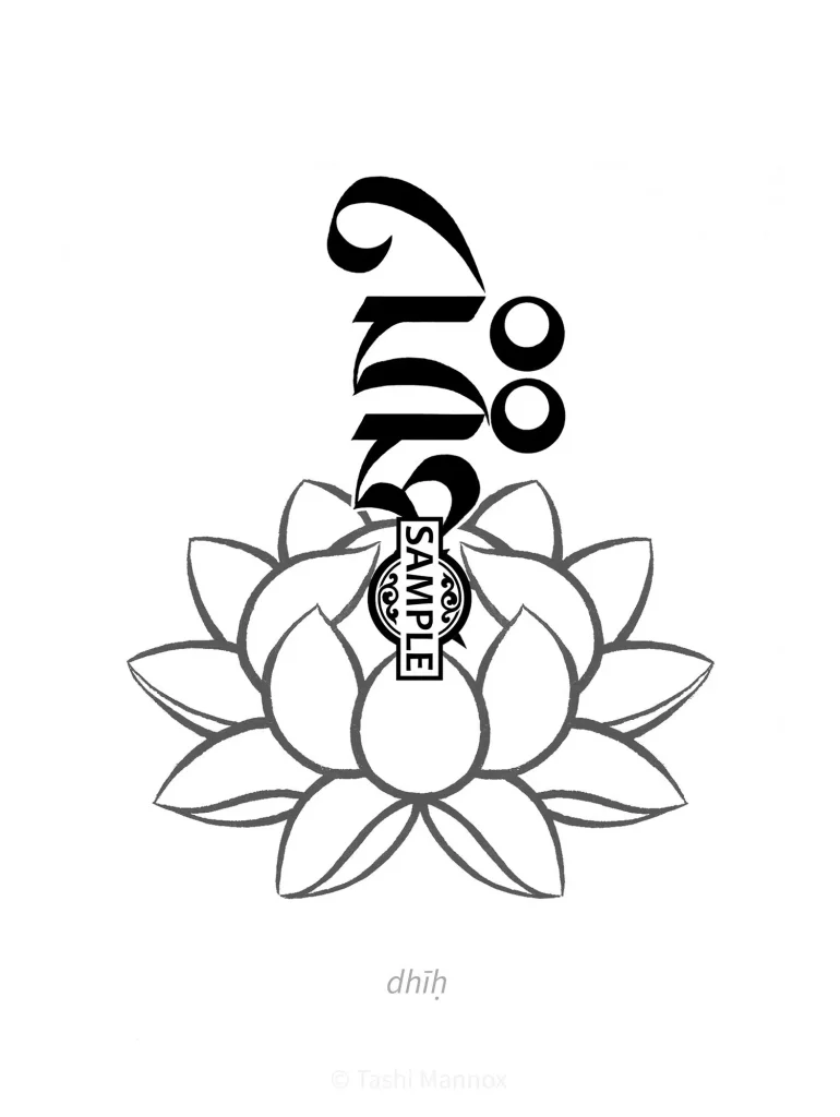 dhiฬhฬฃ Syllabe on lotus