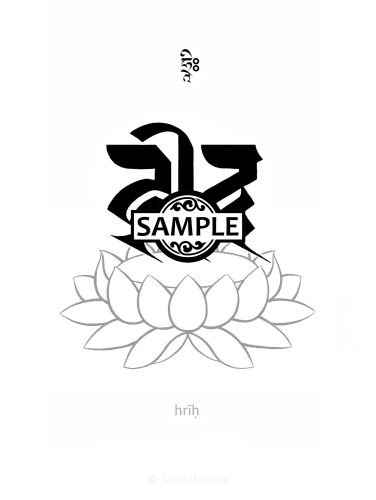 hrih syllable on lotus – Sanskrit
