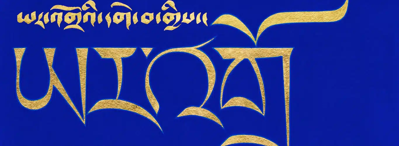 Tashi Mannox